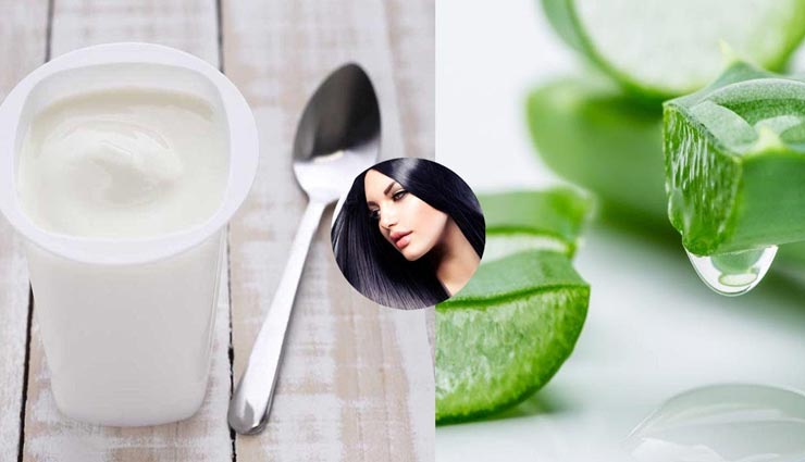 beauty tips,beauty tips in hindi,hair pack of curd,tips to growth of hair,hair care tips