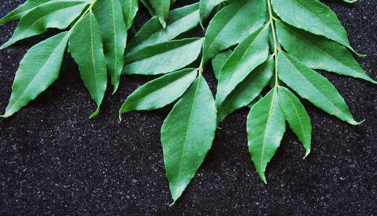health benefits of curry leaves,curry leaves,Health tips,fitness tips,curry leave benefits
