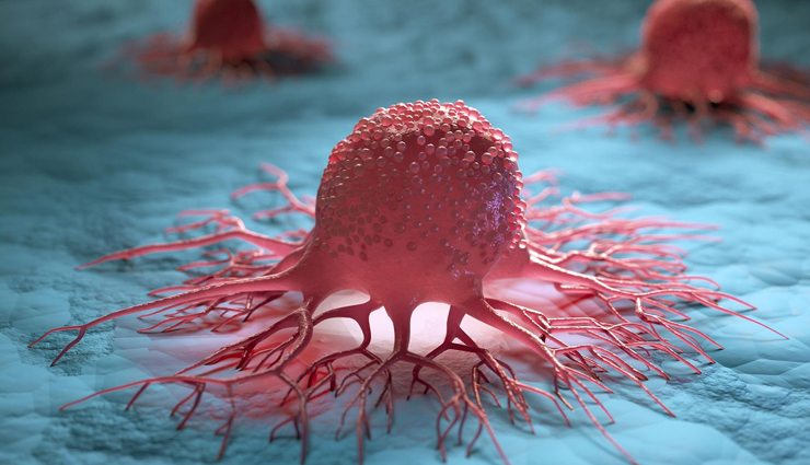 curry leaves,health benefits of curry leaves,Health tips,fitness tips