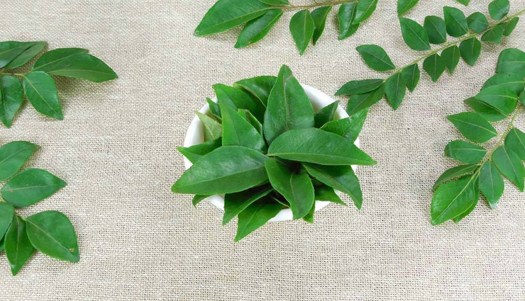 health benefits of curry leaves,curry leaves,Health tips,fitness tips,curry leave benefits