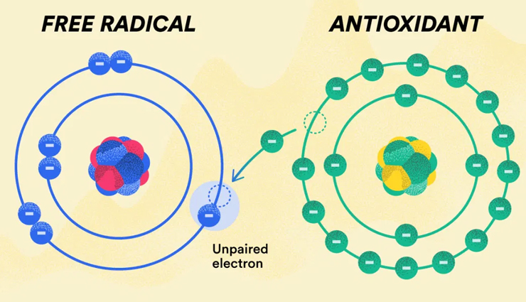 curry leaves,health benefits of curry leaves,Health tips,fitness tips