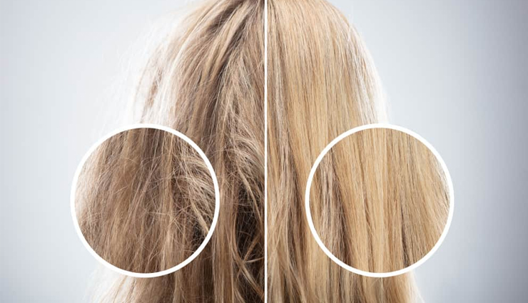 curry leaves health benefits,benefits of eating curry leaves,health advantages of curry leaves,curry leaves nutrition benefits,curry leaves for health and wellness,impact of curry leaves on health,why eat curry leaves for health,curry leaves health-boosting properties