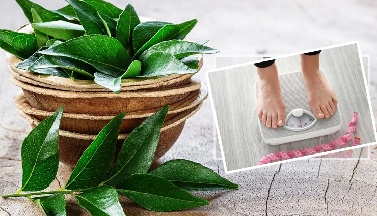 5 Benefits of Eating Curry Leaves That Help in Weight Loss