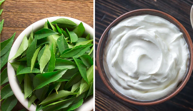 curry leaves,curry leaves benefits,curry leaves beauty benefits,curry leaves for hair,curry leaves for hair growth,hair care tips,hair fall problem,hair care,beauty,beauty tips