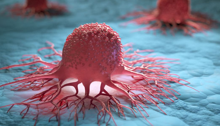 health benefits of custard apple,Health tips,fitness tips,custard apple