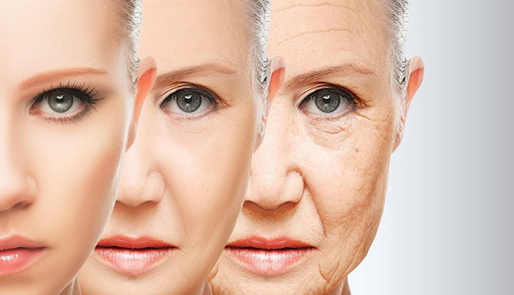 health benefits of custard apple,Health tips,fitness tips,custard apple