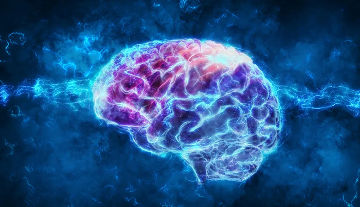 custard apple,health benefits of custard apple,Health tips,fitness tips