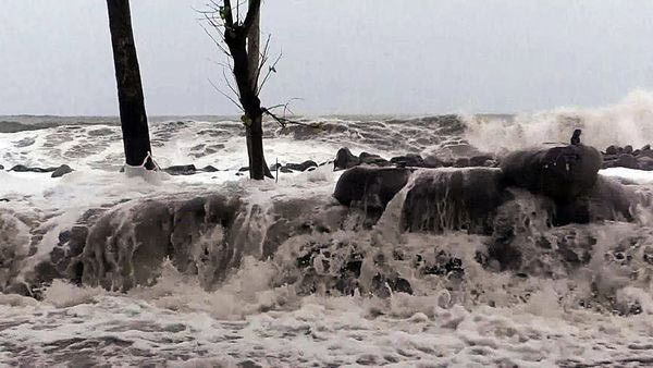 cyclone bulbul,cyclone bulbul will not touch odisha coast,rainfall predicted,news