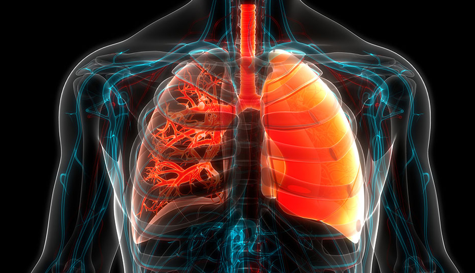 7 Symptoms of Cystic Fibrosis To Look Out For