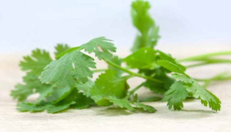 7 Health Benefits of Eating Coriander