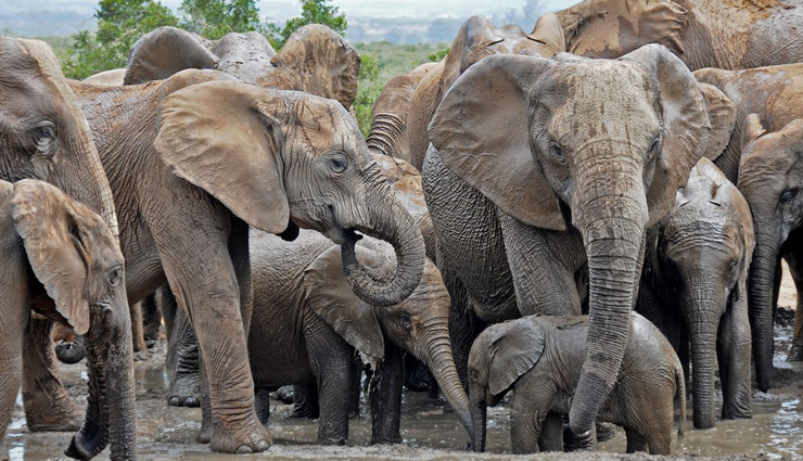 wildlife sanctuaries,wildlife sanctuaries to visit in india,places to visit in india,india