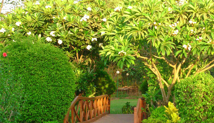 silvassa attractions,silvassa tourist spots,silvassa sightseeing,dudhni lake activities,vangana lake garden silvassa,island garden silvassa,swaminarayan temple silvassa,tribal cultural museum silvassa,our lady of piety church silvassa,dadra park activities,hirwa van gardens silvassa,satmalia deer sanctuary,lion safari wildlife park,dudhni lake water sports,dudhni lake sunset view,vangana lake garden boating,island garden paddle boat rides,swaminarayan temple architecture,tribal cultural museum exhibits,our lady of piety church architecture,dadra park nature walks,hirwa van gardens picturesque landscapes