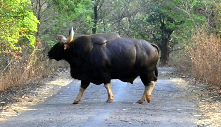 kolhapur maharashtra,tourist attractions kolhapur,kolhapur tourist places