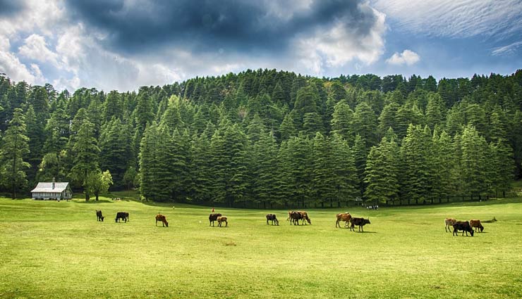 सर्दियों के इन हसीन दिनों में लेना चाहते हैं घूमने का मजा, 7000 में इन 7 जगहों पर कर सकते हैं ट्रेवल destinations to visit in winters,travel,tourism,holidays