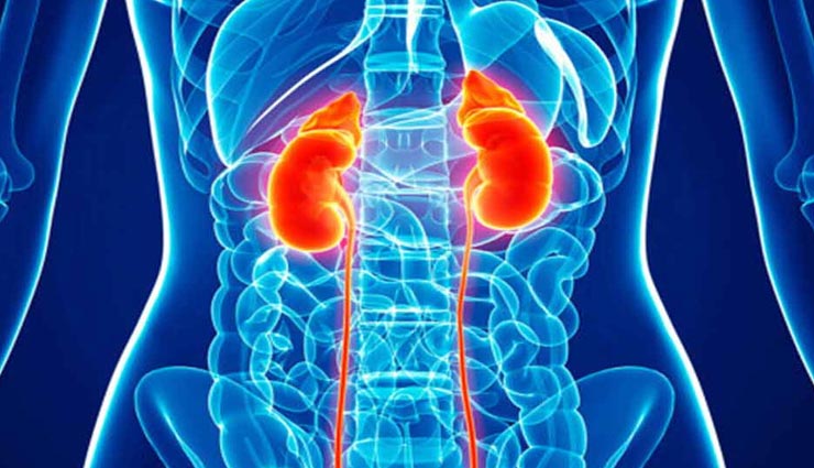 ये संकेत बताते हैं आपकी किडनी हो चुकी खराब, जानें और रहें सतर्क
