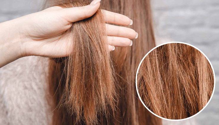 hair serums,diy hair serums at home,homemade hair serums,hair care tips,homemade hair care tips,hair beauty,beauty,beauty tips