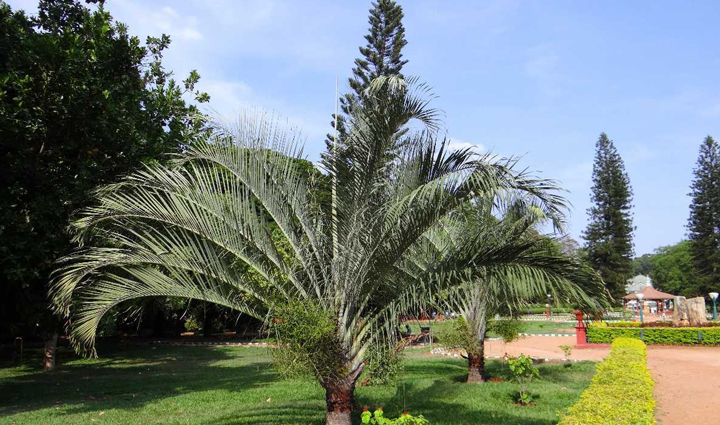 daman and diu,beaches in daman and diu,holidays in daman and diu,holiday,travel,tourism