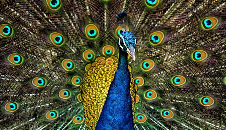 astrology tips,astrology tips in hindi,dreams meaning,dreams shows glowing luck