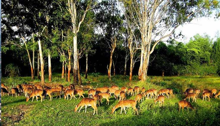 Major Attractions of Dandeli National Park