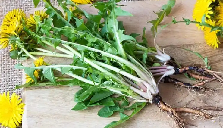 परेशान कर रहा हैं पित्ताशय की पथरी का दर्द, इन उपायों से करें इलाज gallstone pain relief,remedies for gallstones,treatment options for gallstones,natural remedies for gallstone pain,alleviating gallstone pain,managing gallstones with remedies,home remedies for gallstone treatment,natural treatment for gallstones,relief from gallstone discomfort,gallstone pain management strategies,holistic approaches to gallstone relief,herbal remedies for gallstones,dietary solutions for gallstone pain,lifestyle changes for gallstone relief,alternative therapies for gallstone discomfort