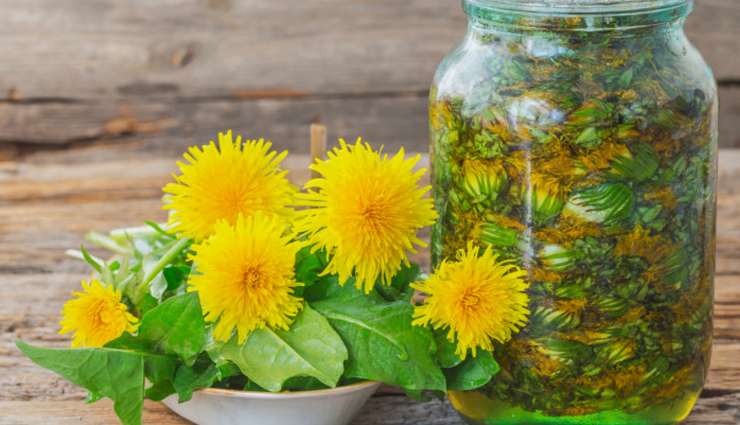 wart removal remedies,home remedies for warts,natural wart treatments,aloe vera for warts,pineapple juice for warts,apple cider vinegar wart treatment,dandelion sap for warts,castor oil for wart removal,tea tree oil for warts,antiviral home remedies,wart removal techniques,diy wart treatments,herbal remedies for warts,skin wart removal at home,plantar wart home treatment