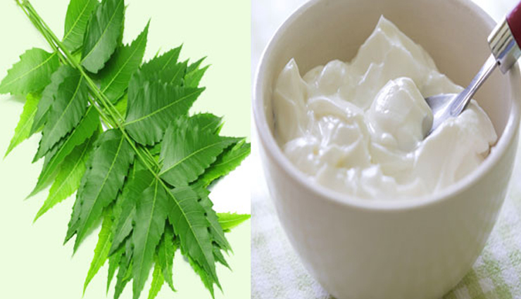 monsoon dandruff,home remedies for monsoon dandruff,hair care tips,beauty tips