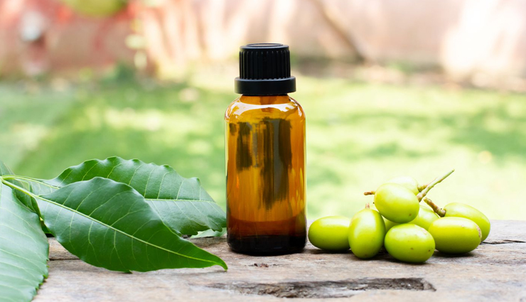 herbal remedies for dandruff,natural dandruff treatments,effective herbal solutions for dandruff,dandruff home remedies,herbal remedies for scalp health,best herbs for dandruff,dandruff control with herbs,natural dandruff prevention,herbal hair care for dandruff,remedies for dry scalp with herbs