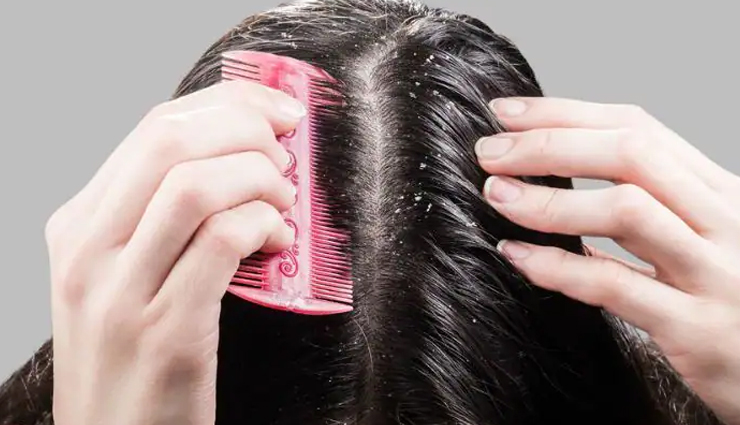 fenugreek seeds,fenugreek seeds benefits,health benefits of eating fenugreek seeds,fenugreek seeds increase sperm count,Health,Health tips