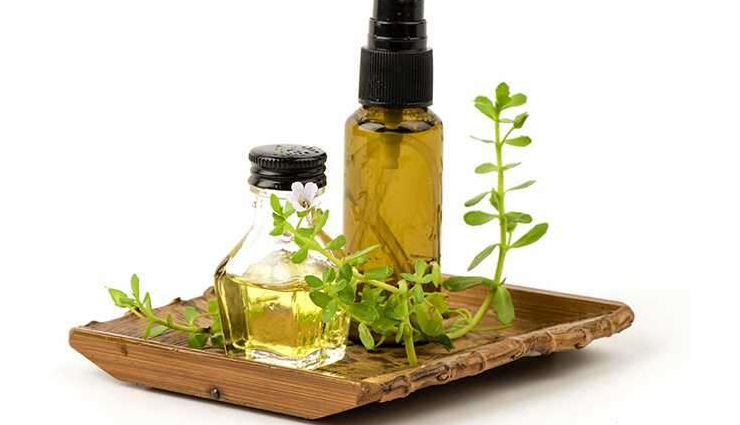 tea tree oil with coconut oil mask,tea tree oil in shampoo