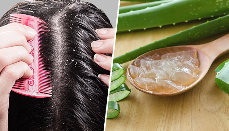 Powder-Based Herbal Hair Pack For Hair Growth | Prevent Dandruff & Hair Fall