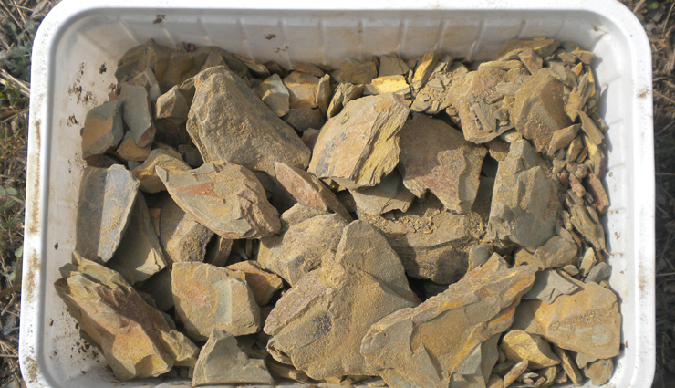 baking soda,aspirin,yoghurt,fullers earth,Lemon,apple cider vinegar,aloe vera,tea tree oil,organic coconut oil,neem,effective home remedies to treat dandruff,dandruff tips,home remedies,Health tips,fitness tips