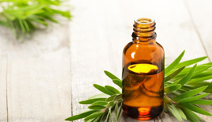 baking soda,aspirin,yoghurt,fullers earth,Lemon,apple cider vinegar,aloe vera,tea tree oil,organic coconut oil,neem,effective home remedies to treat dandruff,dandruff tips,home remedies,Health tips,fitness tips