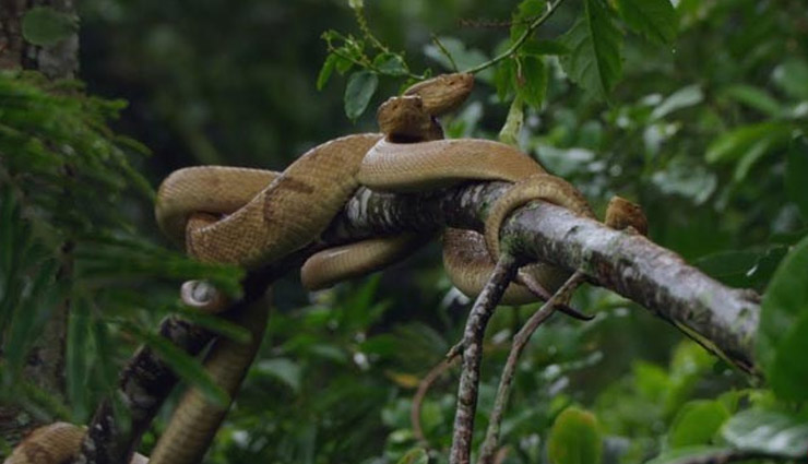 खौंफ से भरी है ये 5 जगह जहा जाना खतरे से खाली नहीं