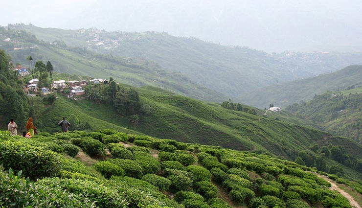 darjeeling,places to visit in darjeeling,tourist destinations in darjeeling