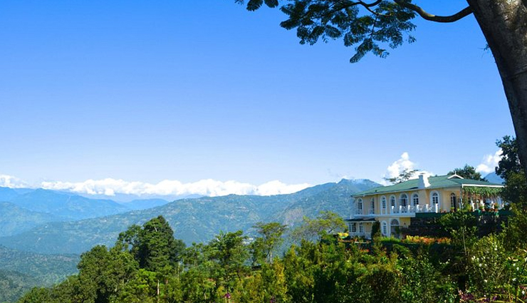 darjeeling tea gardens,darjeeling tourism,places to visit in darjeeling,glenburn tea estate,makaibari tea estate,happy valley tea estate,chamong tea estate,goomtee tea resort,darjeeling tea tourism,darjeeling tea plantation tours,best tea gardens in darjeeling,darjeeling tea experiences,darjeeling tea heritage,darjeeling tea culture,tea estates in darjeeling