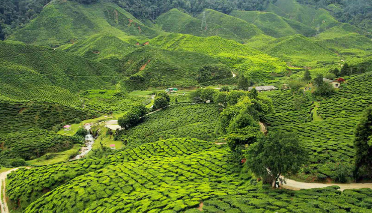 backpacking trails in india,seven sisters trek,har ki doon,darjeeling,gokarna,hampi,travel,holidays,tourism