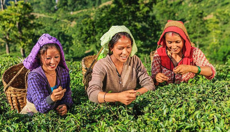 best places to visit in may india,may travel destinations india,hill stations to visit in may,summer getaways india,places to visit in may with family,romantic places in may india,cool places to travel in may,indian destinations for summer,spring travel india,may vacation spots india