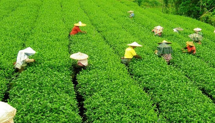 must visit places with family,holidays,travel,tourism