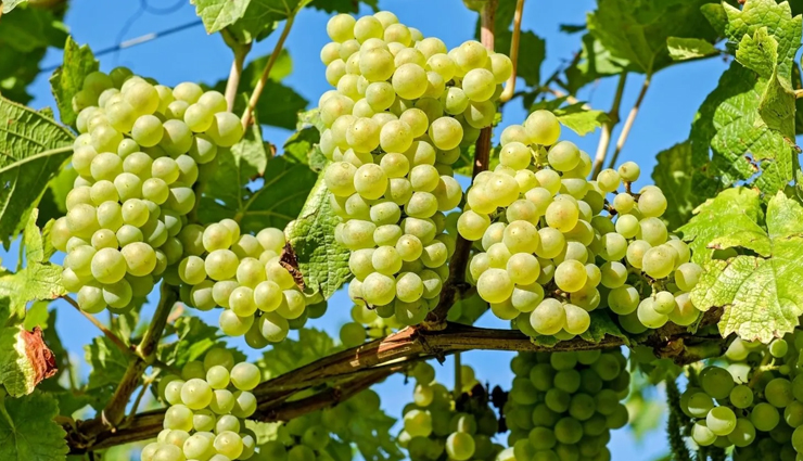 diy dark butt lightening,home remedies for dark butt,how to lighten dark butt,natural ways to lighten buttocks,dark buttocks treatment,diy skin brightening for butt,lighten dark skin on buttocks,home remedies for butt pigmentation,butt whitening tips,remove dark spots on butt,best remedies for dark butt,lighten hyperpigmentation on butt,natural exfoliation for butt,skincare for dark buttocks,brightening cream for butt