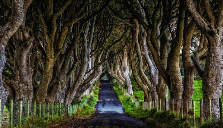 top places to visit in ireland,ireland tourist attractions,ireland travel destinations,game of thrones filming locations ireland,castle ward northern ireland,cliffs of moher ireland,rock of cashel ireland,the dark hedges northern ireland,killarney national park,brigit’s garden galway,trinity college dublin,blarney castle and blarney stone,famous sites in ireland,ireland historical landmarks,scenic spots ireland,ireland nature attractions,ireland castles to visit,ireland’s beautiful landscapes,best national parks in ireland,ireland’s medieval sites,top gardens in ireland,ireland’s must-see locations,best views in ireland,ireland cultural heritage sites,ireland road trip destinations,ireland’s ancient rocks,iconic places in ireland,ireland’s picturesque spots,famous filming sites ireland,ireland’s unique attractions