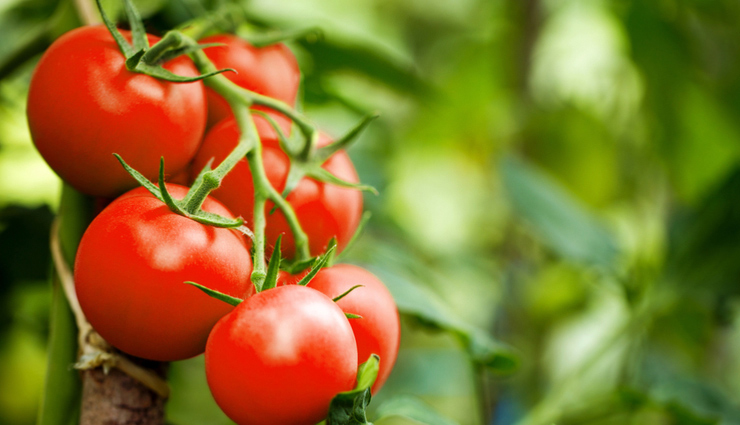 drink water,lemon juice and yogurt,buttermilk,aloe vera,tomatoes,home remedies,home remedies to get rid of dark spots,skin care tips,beauty tips,summer tips