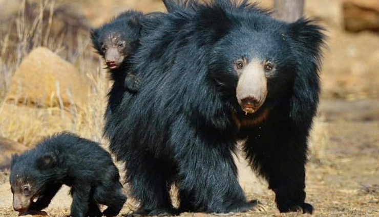 hampi tourist attractions,top places in hampi,hampi historical sites,hampi travel guide,things to do in hampi,hampi unesco world heritage,hampi sightseeing spots,hampi ancient ruins,hampi heritage sites,hampi historical monuments