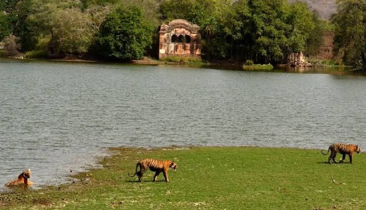 offbeat places in india,weekend getaways in india,kuldhara village rajasthan,jawai village pali district,darrah wildlife sanctuary kota,bundi waterfall rajasthan,longewala war memorial thar desert,hidden gems in rajasthan,unique destinations in india,lesser-known places to visit