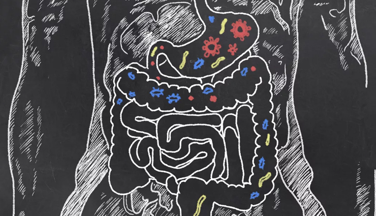 dashmoola,health benefits of dashmoola,Health tips,fitness tips