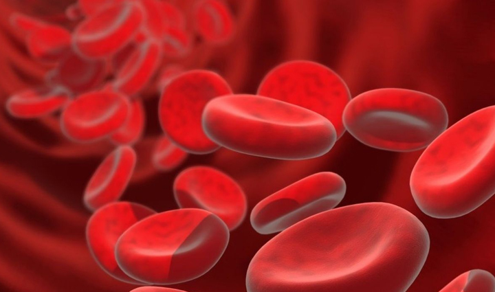 eat dates to stay healthy in winter you will get these great benefits,Health,healthy living