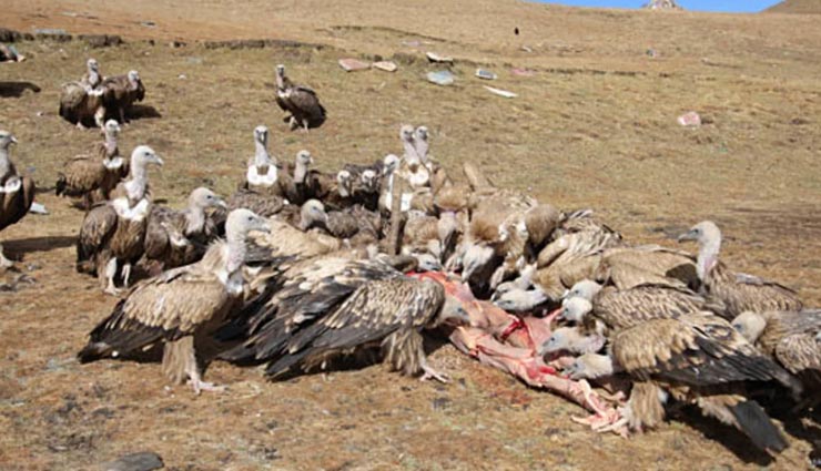 weird rituals,weird traditions,weird funeral,traditions of a funeral