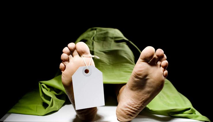 हिमाचल : पत्नी को मोबाइल चैटिंग करने से टोकना पति को पड़ा भारी, डंडे से तोड़ दिए दांत