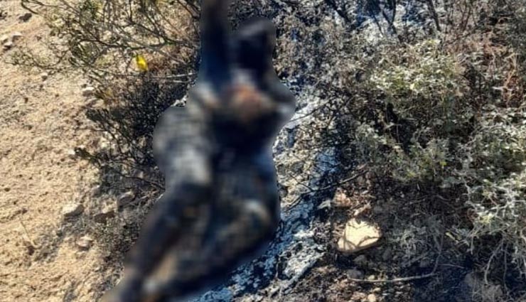 अलवर : क्रूरता की हद हुई पार, झाड़ियों में मिला सौ प्रतिशत जला हुआ शव, पहचान पाना मुश्किल