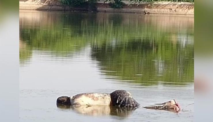 बीकानेर : देर रात तालाब में तैरता मिला युवक का शव, हत्या या आत्महत्या सभी के मन में उठा सवाल