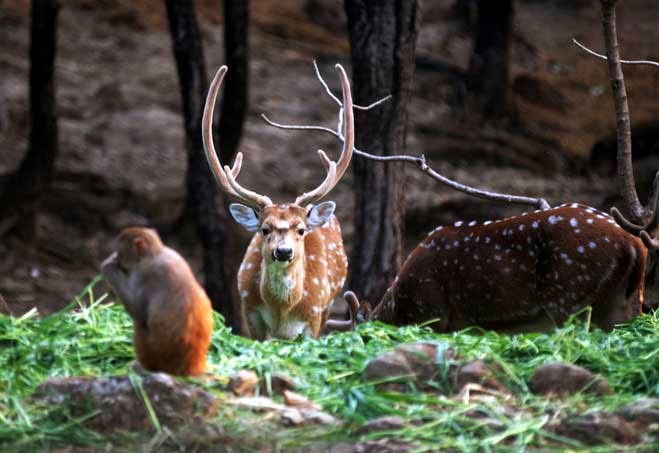 dehradun,holidays,places to visit in dehradun,travel